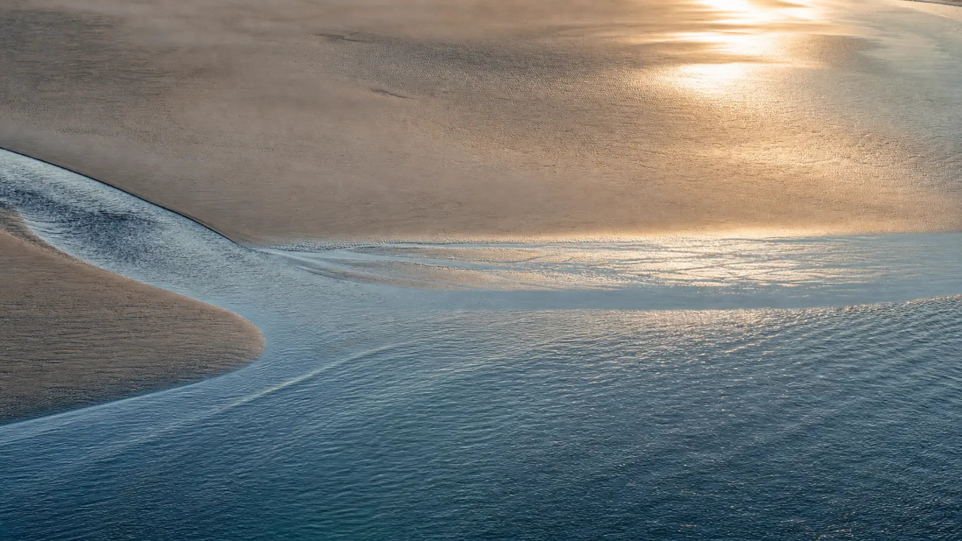 Golden light on the tide, wide and open.